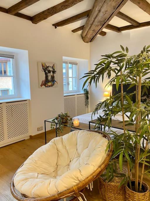 Le Roseau - En Plein Coeur Historique Apartment Annecy Bagian luar foto